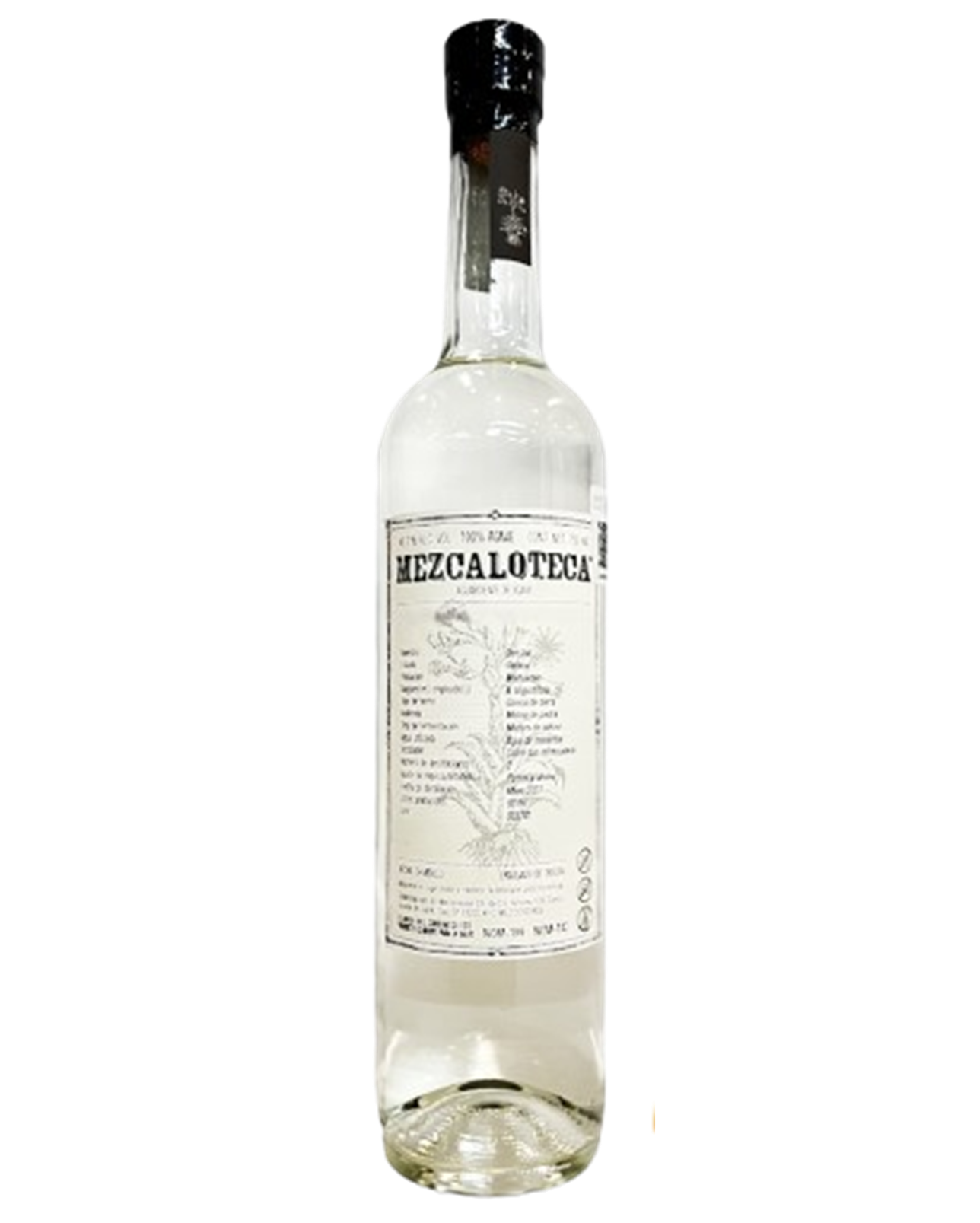 mezcalosfera_Mango_con_chile-961x1200-removebg-preview